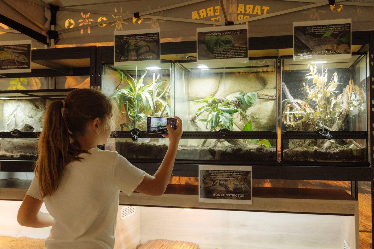 Iulius Mall Cluj 02 (1).jpg