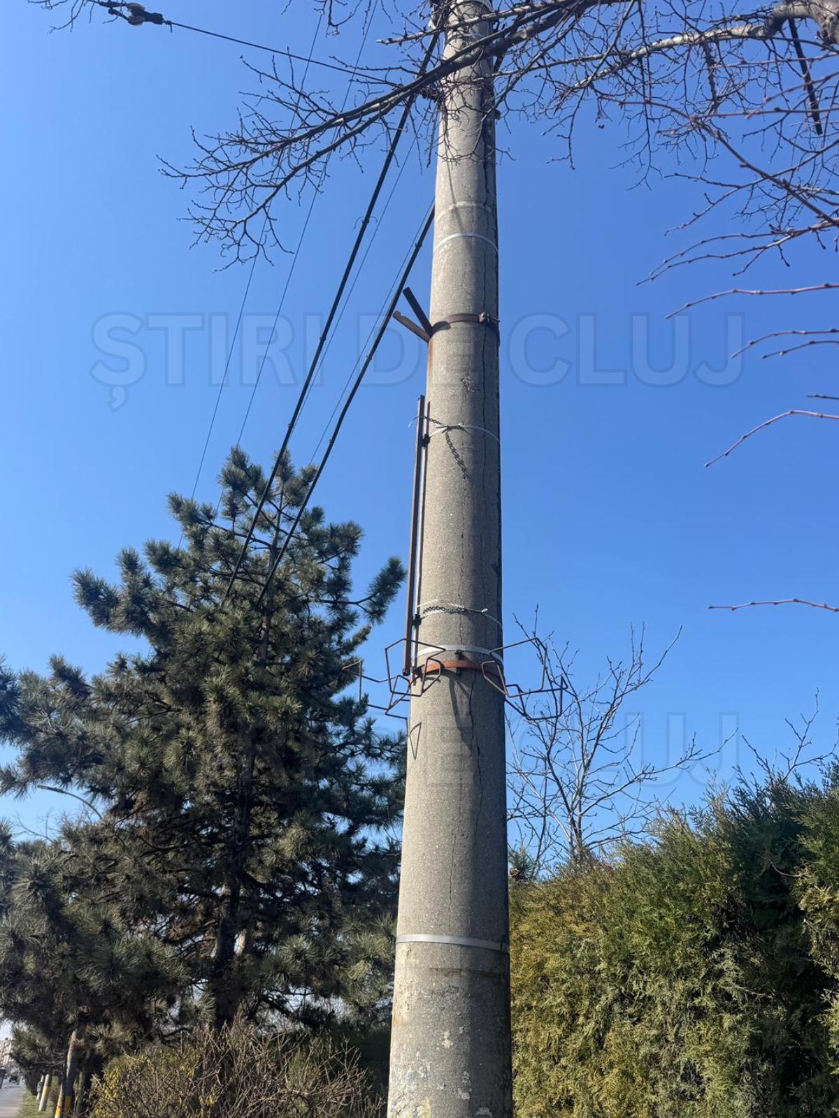 ȘTIRI DE CLUJ-2.png