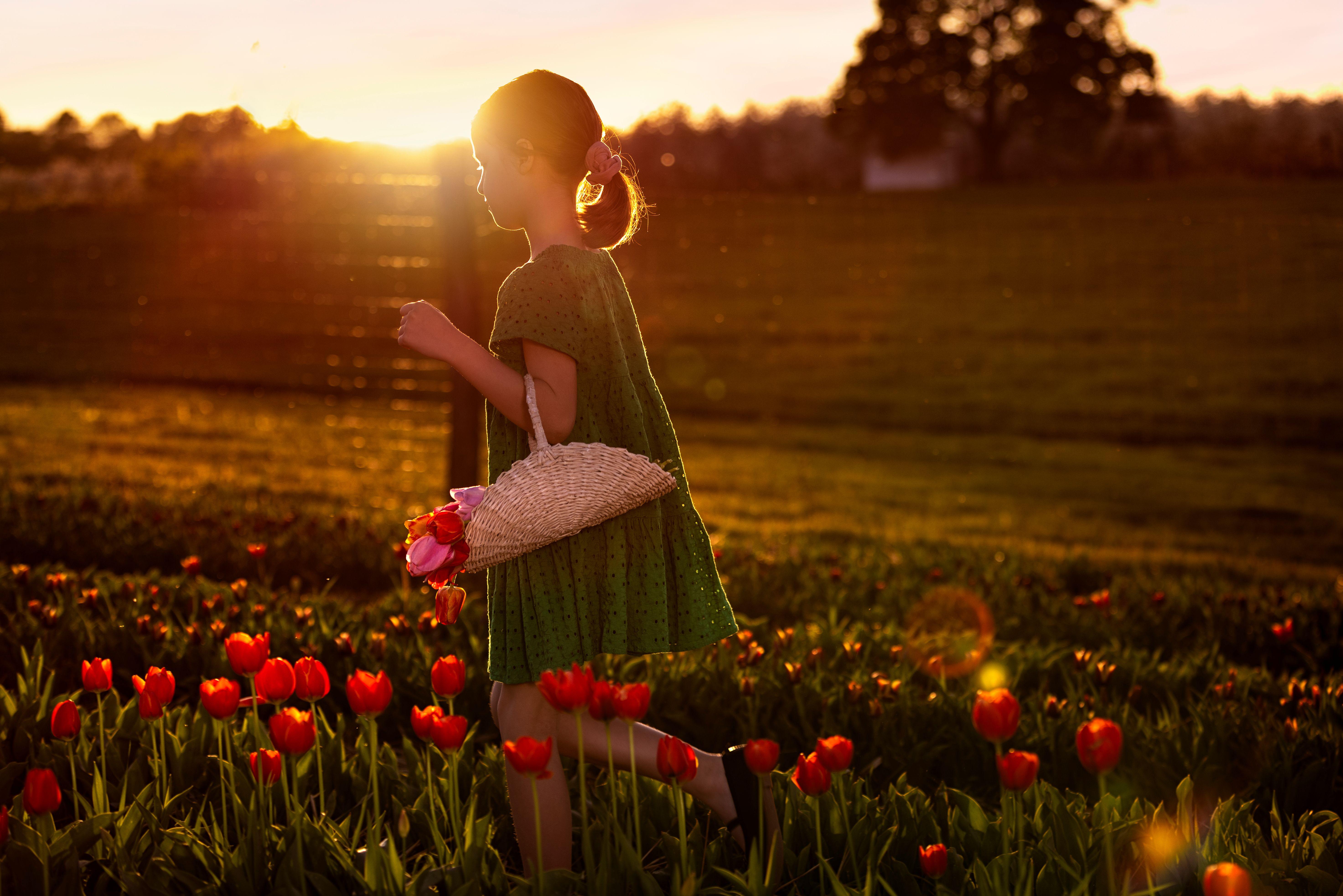 KOSD Tulipanszuret Kosd, Tulip Garden, Nandor Lang 20240407_FULL (6).jpg