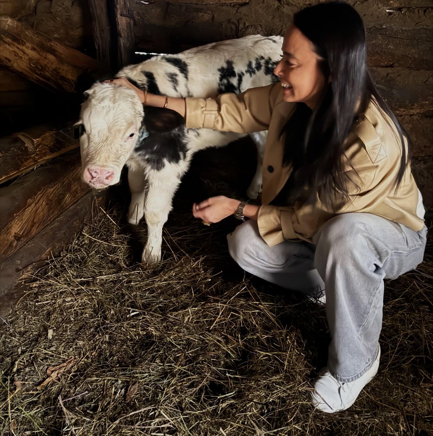 andreea raicu cluj 3.jpg