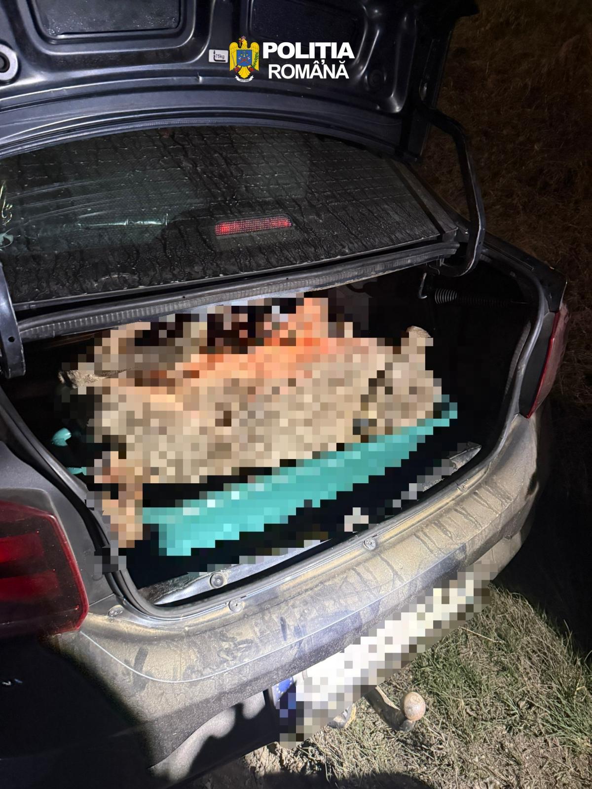 WhatsApp Image 2026-03-25 at 15.29.05.jpeg