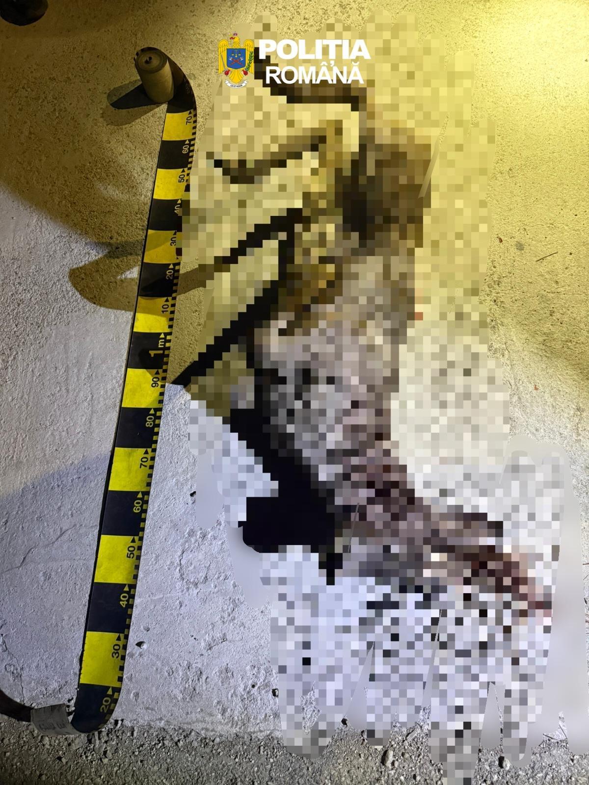 WhatsApp Image 2026-03-25 at 15.29.05 (1).jpeg