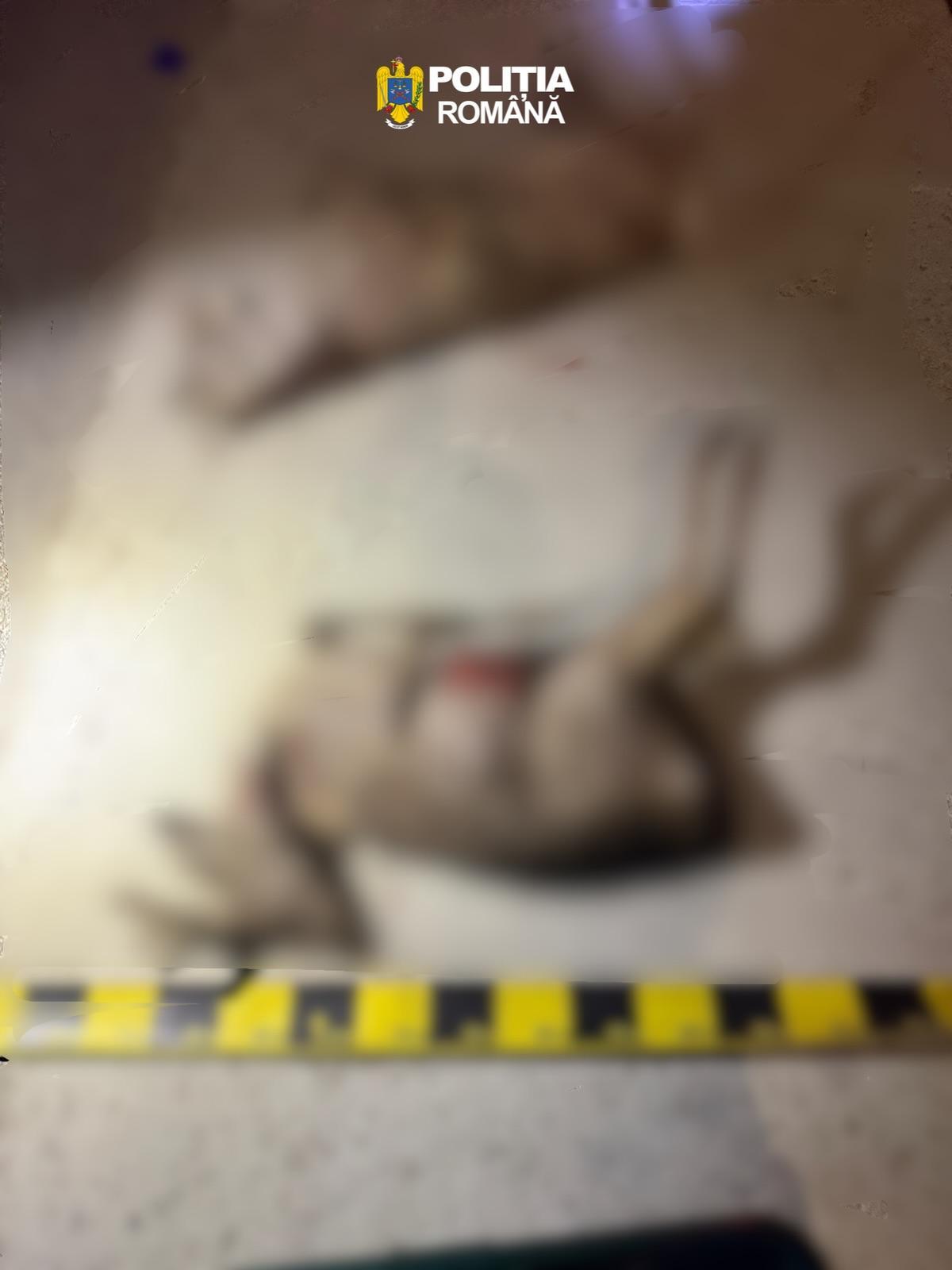 WhatsApp Image 2026-03-25 at 15.29.04 (1).jpeg