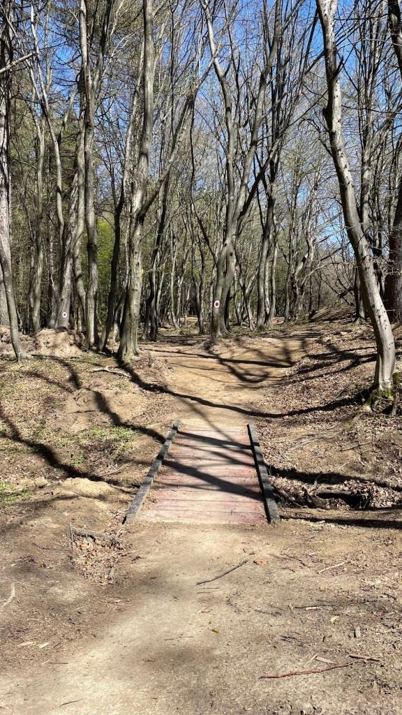 Traseu persoane cu deficinte motorii in Faget (2).jpeg