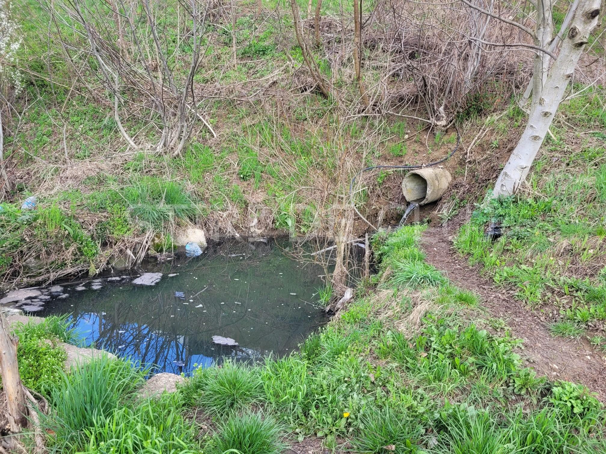 WhatsApp Image 2026-04-07 at 10.14.22.jpg