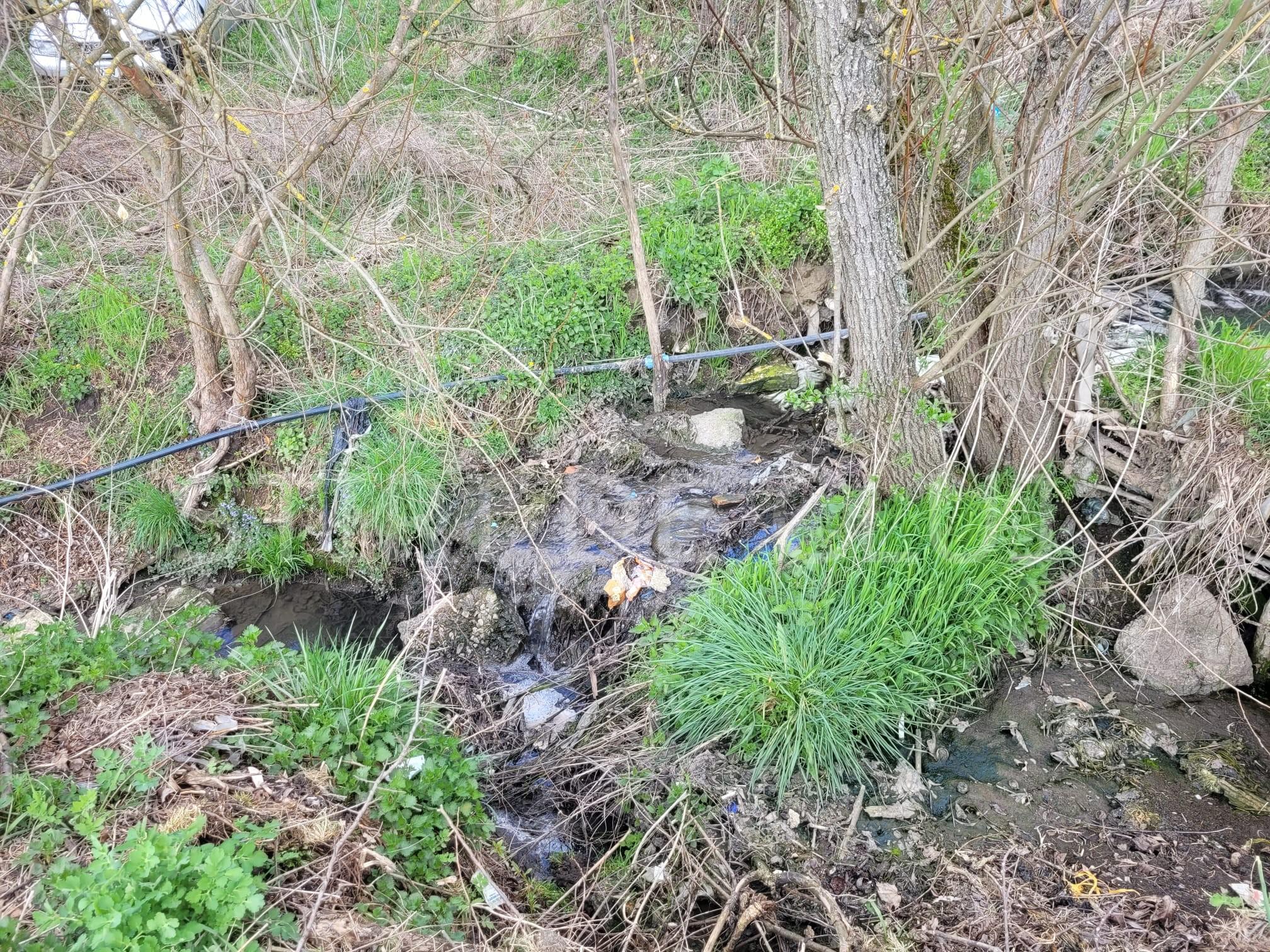 WhatsApp Image 2026-04-07 at 10.14.37.jpg