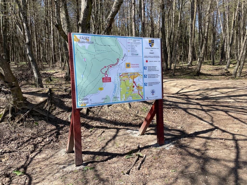 Traseu persoane cu deficinte motorii in Faget (4).jpeg