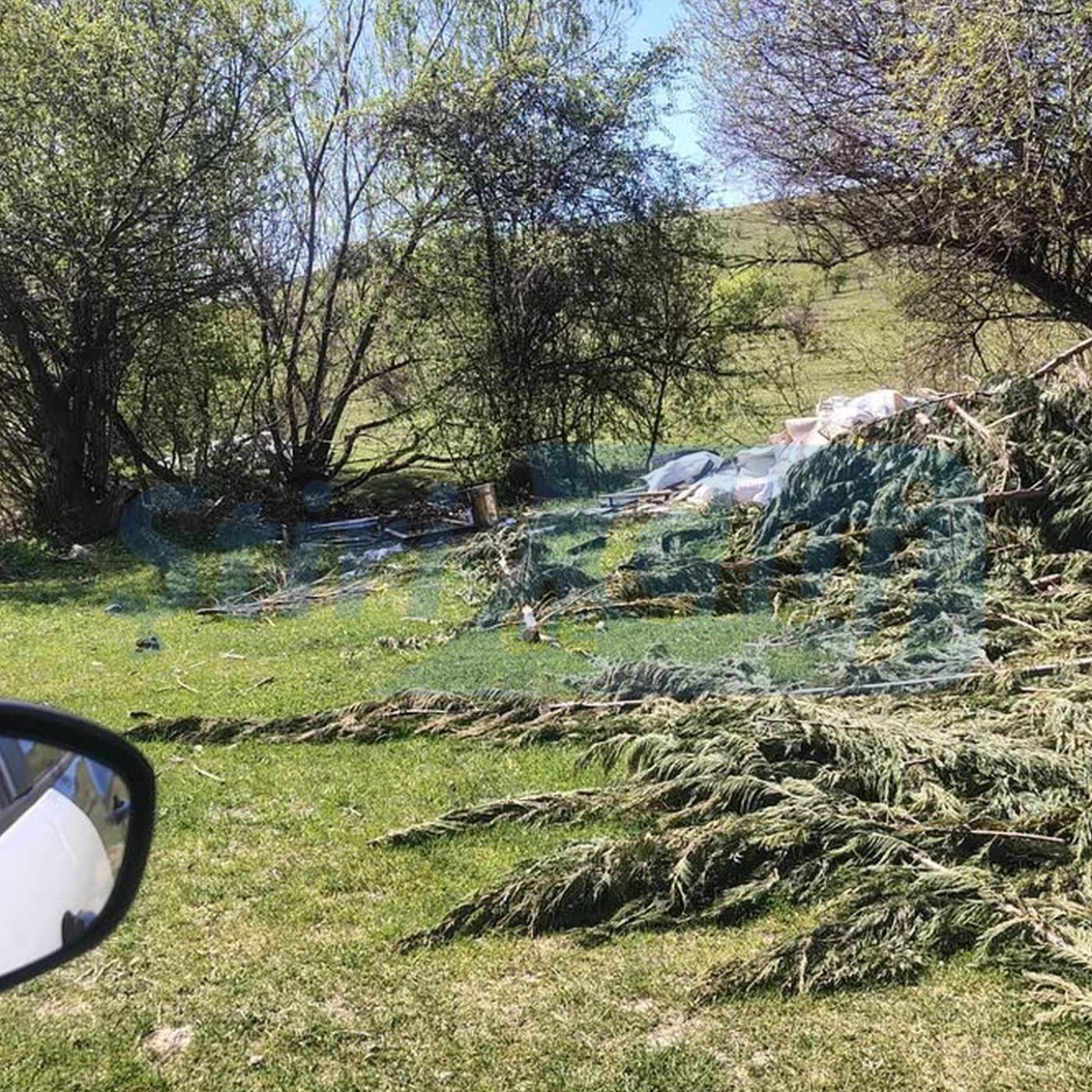 Design fără titlu(1).png