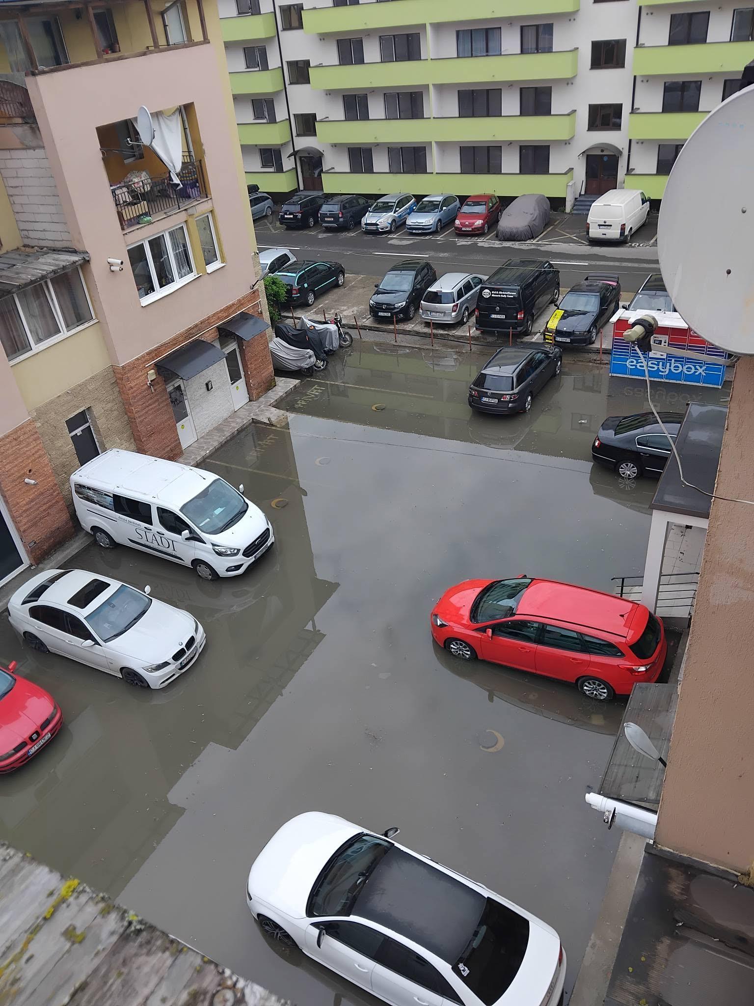 floresti 3.jpg