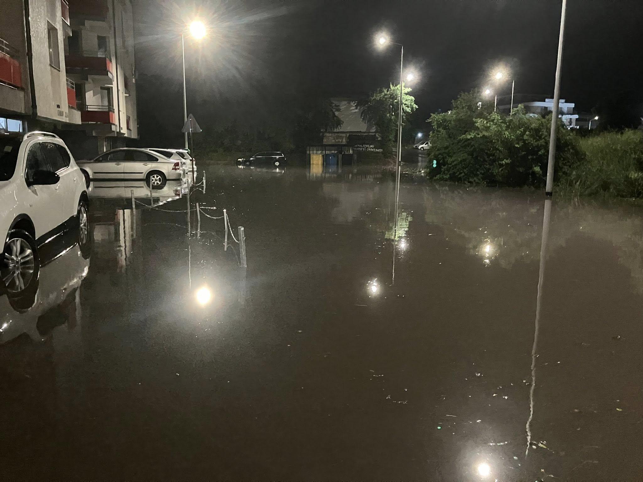 ploaie floresti 2.jpg