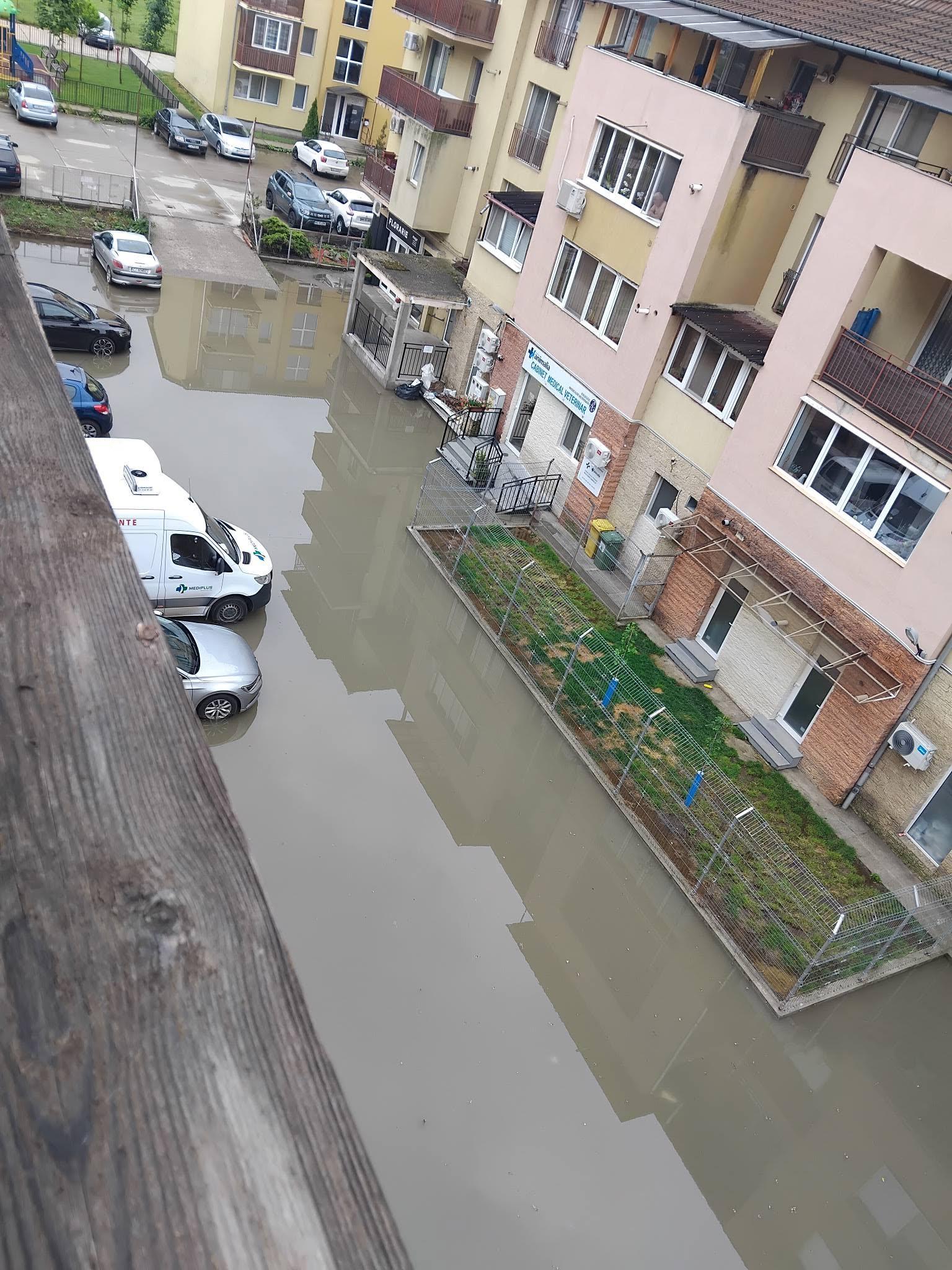floresti 4.jpg