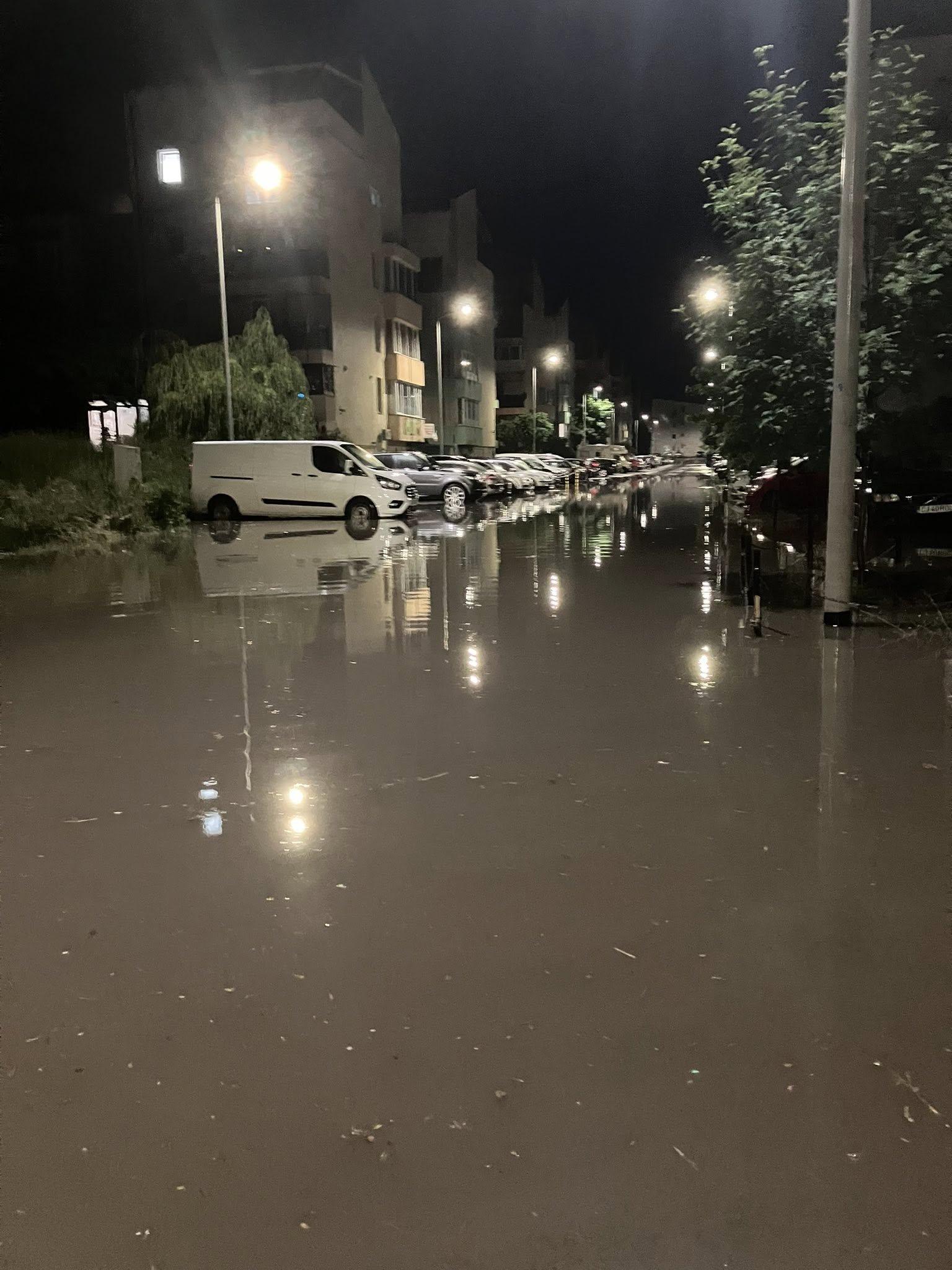 ploaie floresti 1.jpg