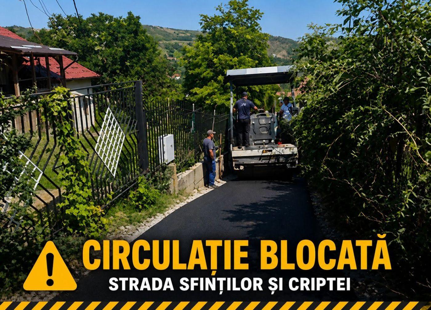 circulatie.jpg