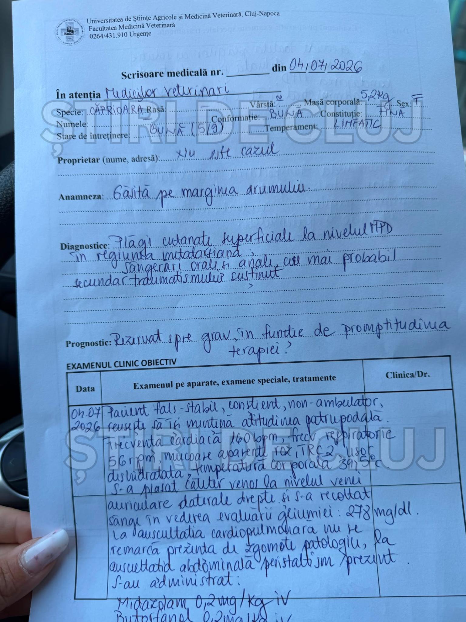 ȘTIRI DE CLUJ-11.png