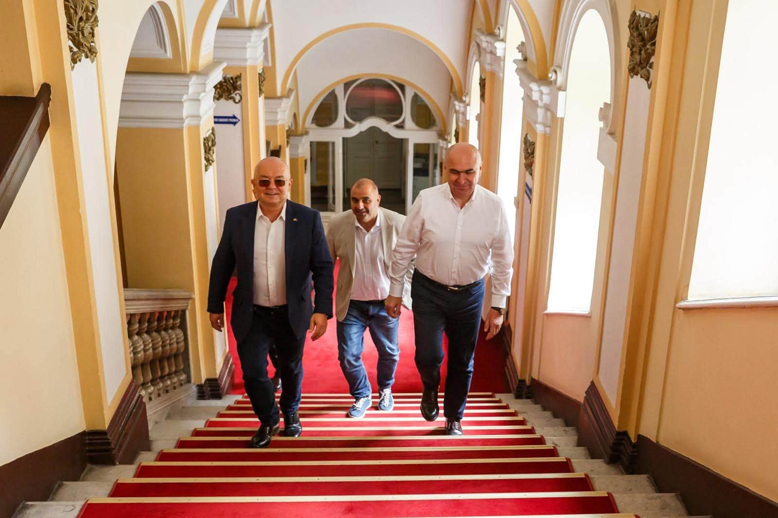 boc bolojan tarcea 2.jpg