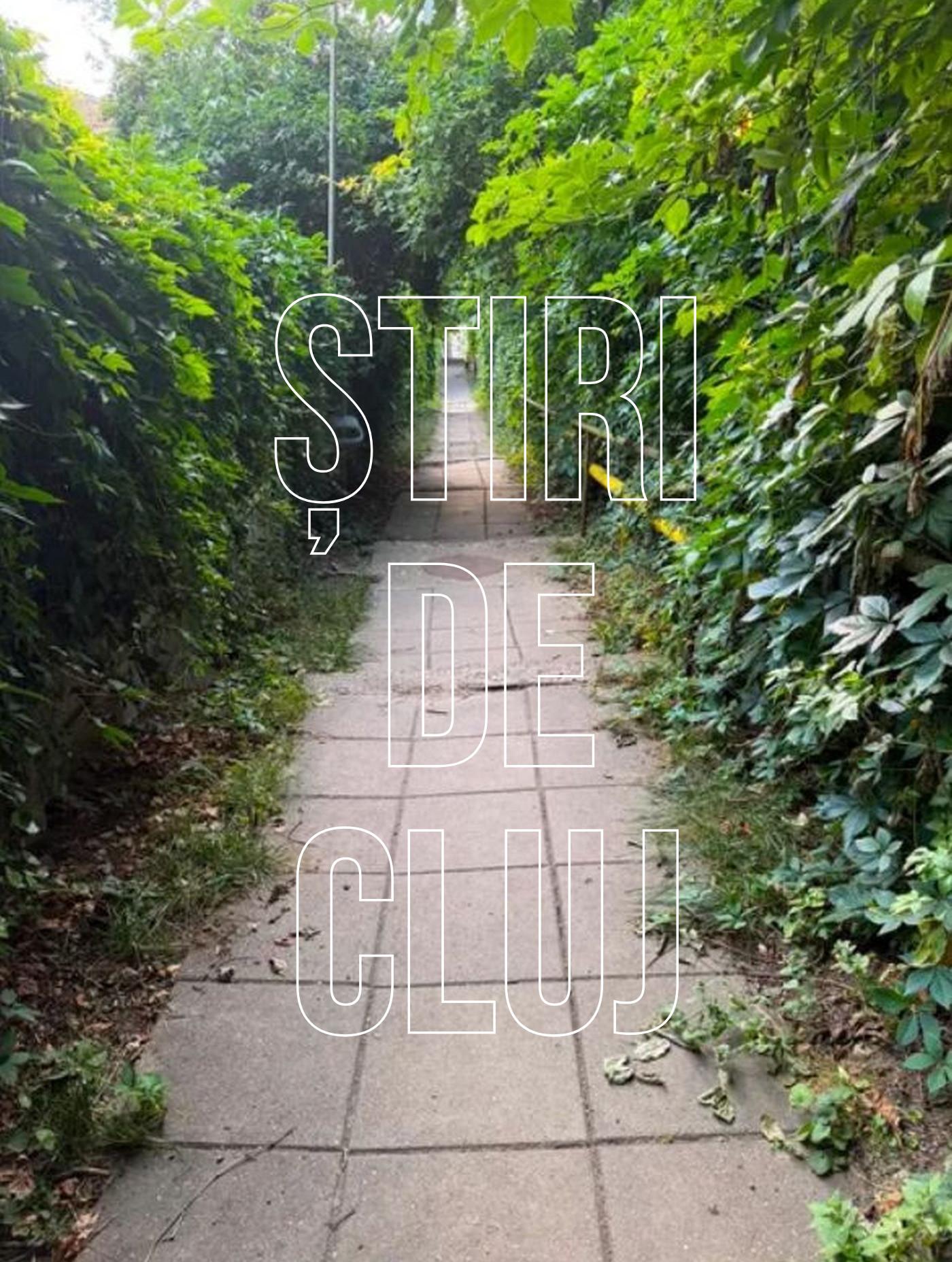 stiri2watermark.jpg