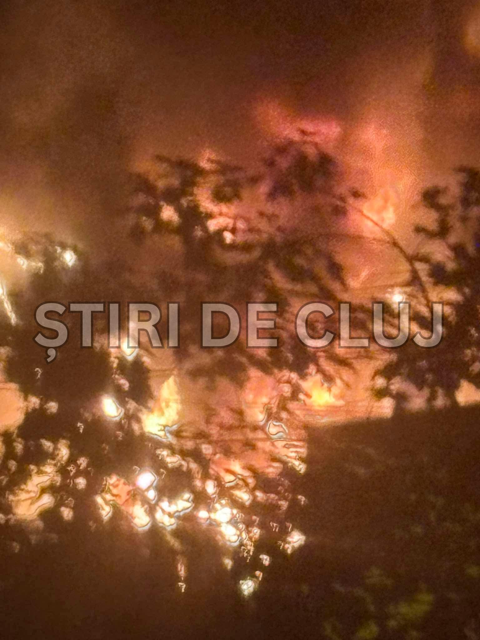 ȘTIRI DE CLUJ-5.png