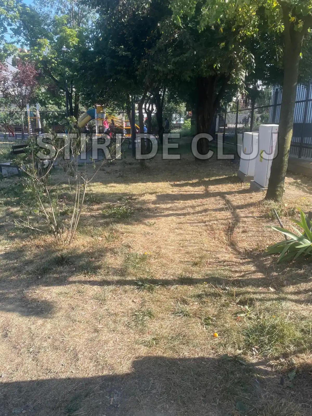 ȘTIRI DE CLUJ-6.png