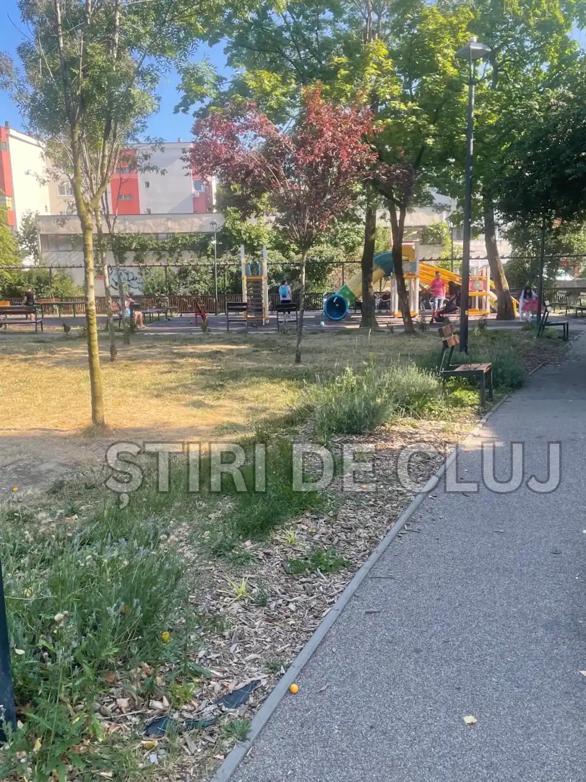 ȘTIRI DE CLUJ-9.png