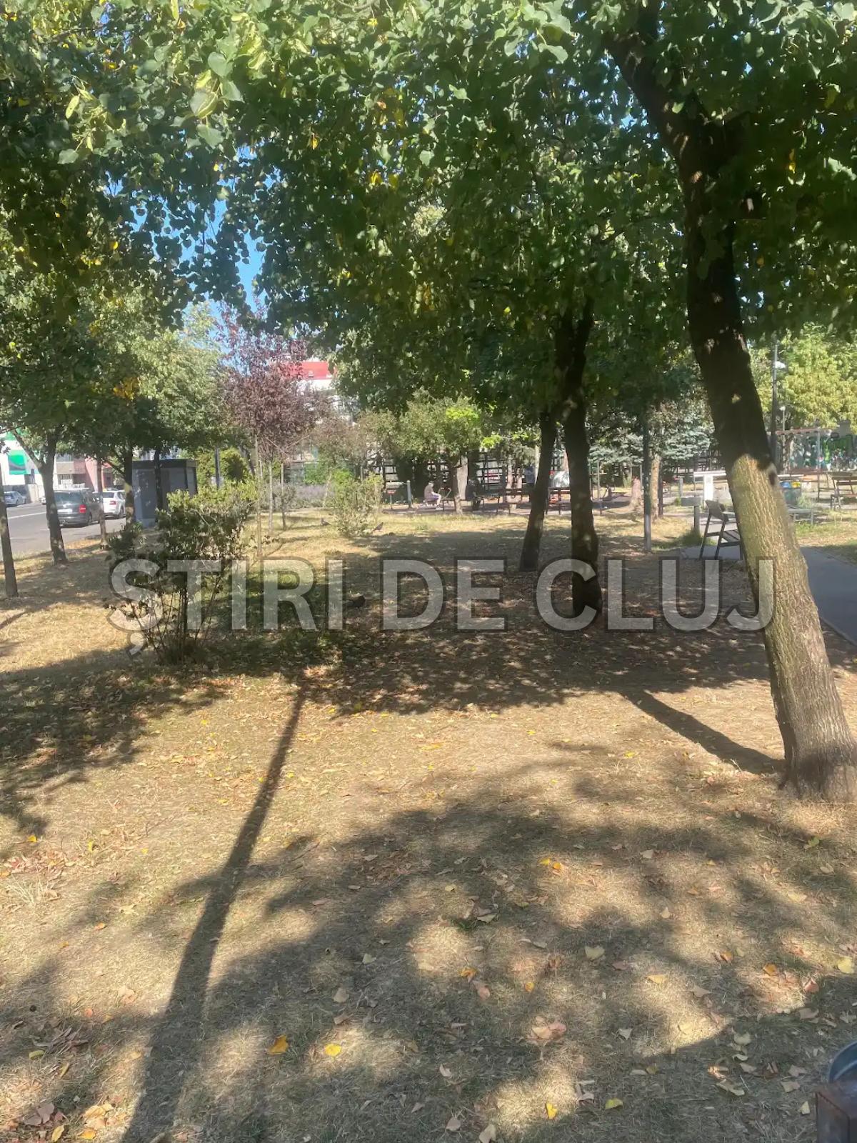 ȘTIRI DE CLUJ-4.png