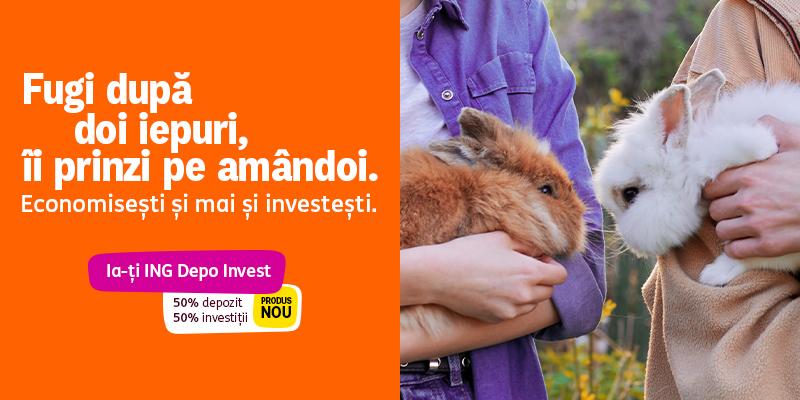 ING Depo Invest banner.png