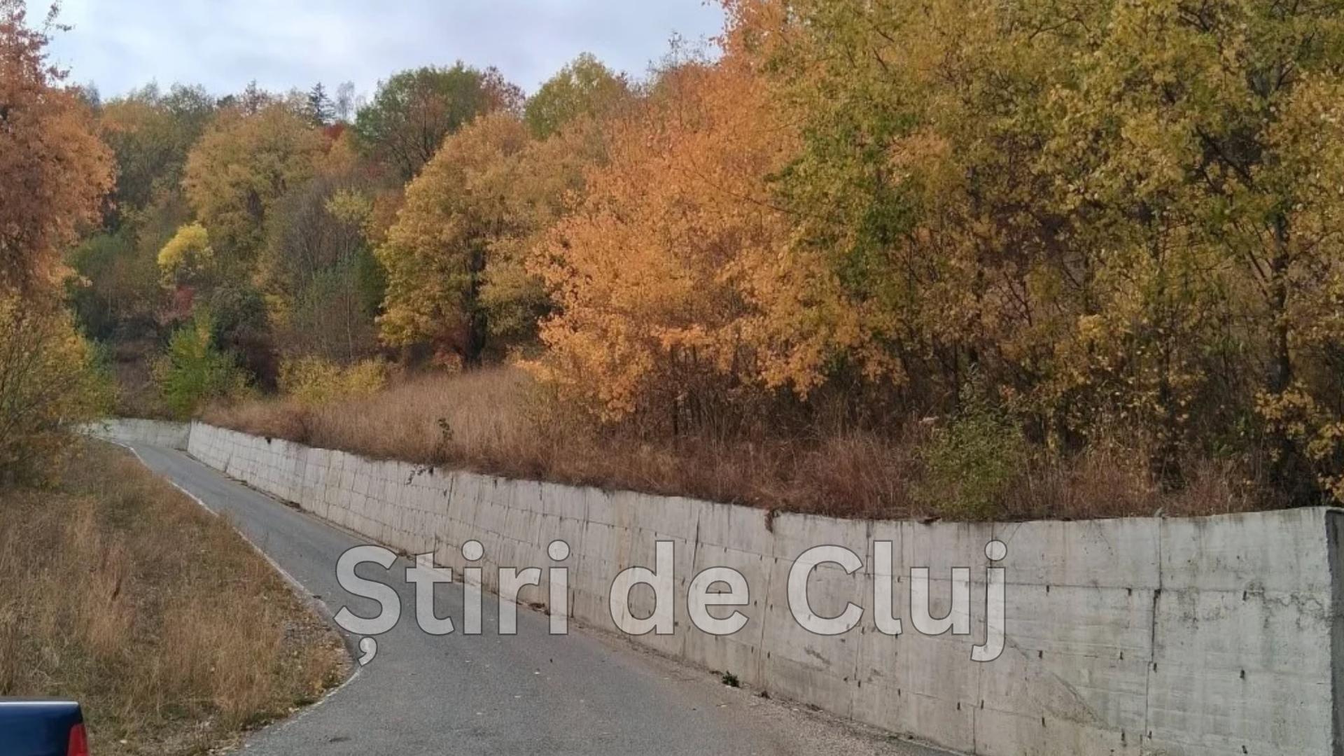 TULCEA - 2026-10-09T163926.180.png
