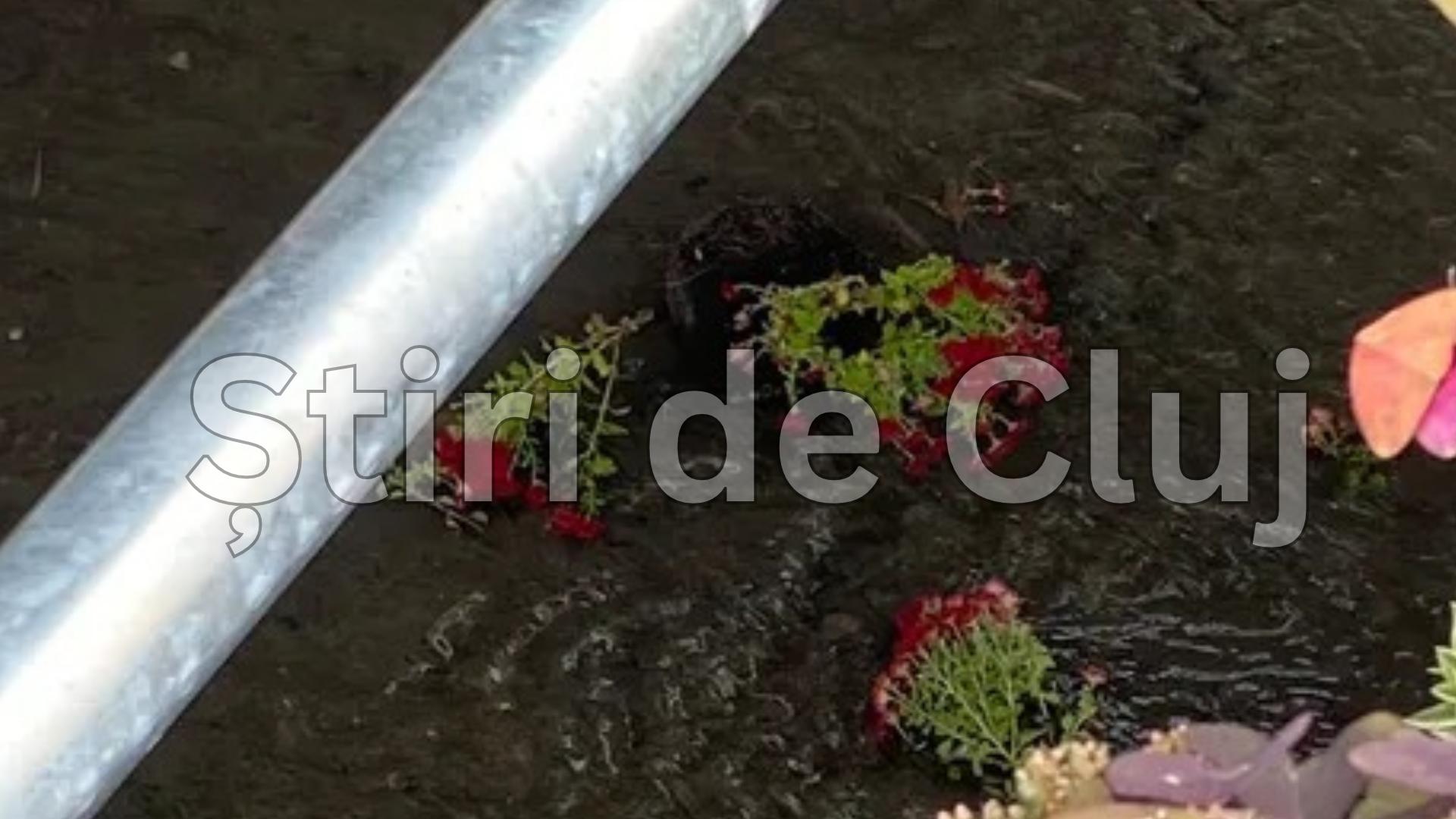 TULCEA - 2026-10-27T143105.028.png