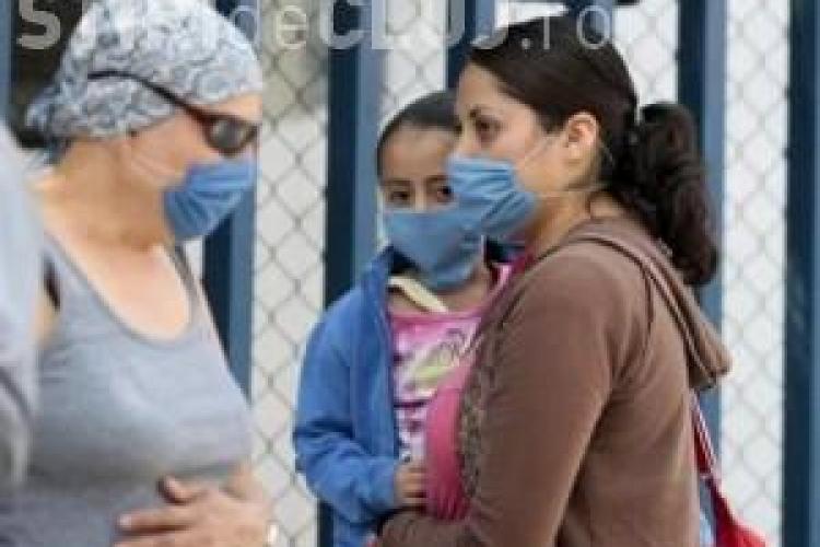 Pandemia de gripa porcina, pusa sub semnul intrebarii de parlamentarii europeni