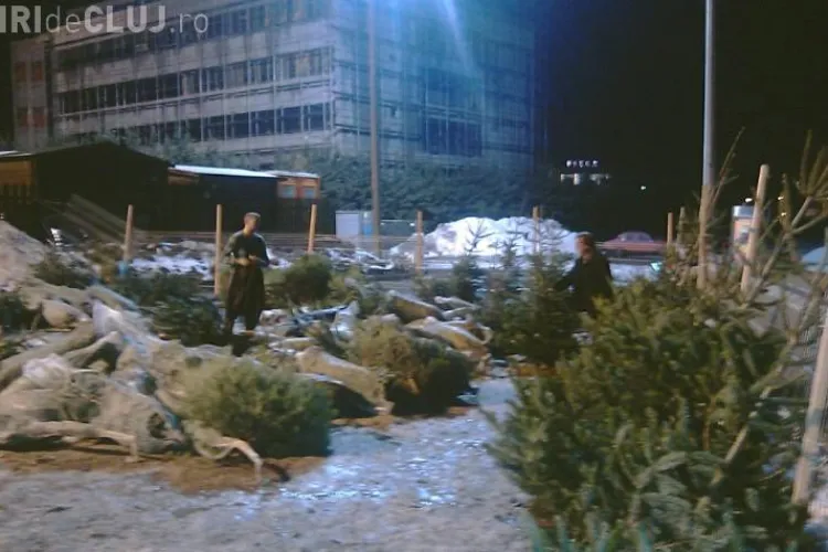 Zeci de brazi nevanduti au fost abandonati la Cluj