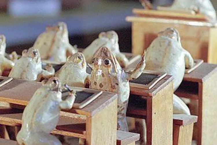 Propunere de revelion: alegeti din Topul celor mai ciudate muzee din Europa