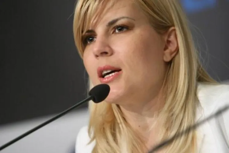 Directorul ANL, demis de Elena Udrea