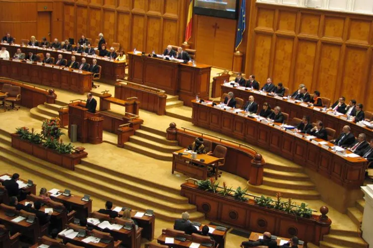 PDL cauta sprijin pentru formarea Guvernului