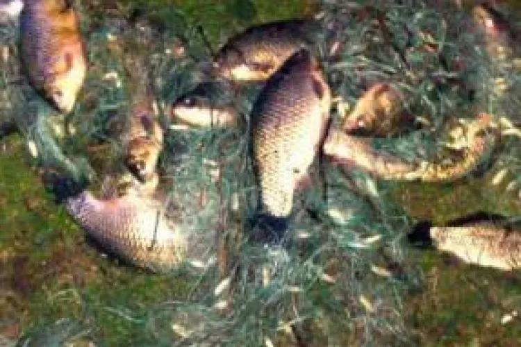 Braconieri prinsi in trafic de politisti