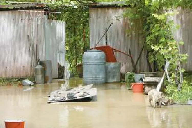 Cinci gospodarii si zeci de hectare de teren au fost inundate la Caseiu