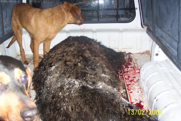 Un subofiter angajat la ISU Cluj a ajuns in coma la spital dupa ce a fost impuscat in cap la vanatoare