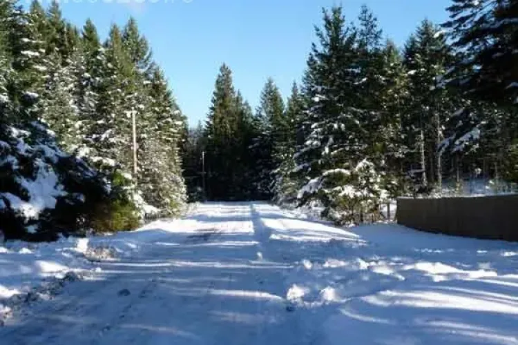 Zapada de 8 centimetri pe drumurile judetene