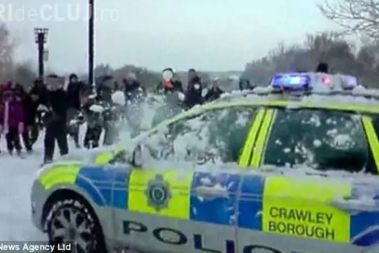 Politisti englezi goniti dintr-un parc cu bulgari de zapada - VIDEO