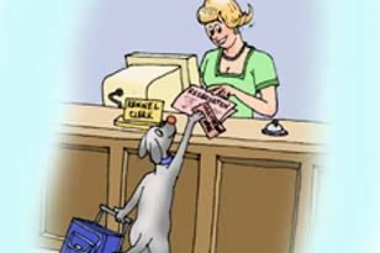 Hotelurile pentru caini si pisici sunt pline la Cluj