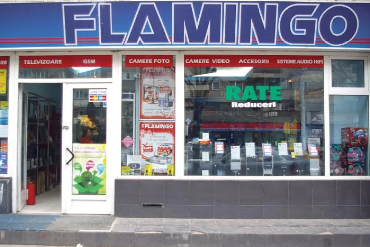 Flamingo, executata silit pentru o datorie de 17,5 milioane de euro de ING Bank