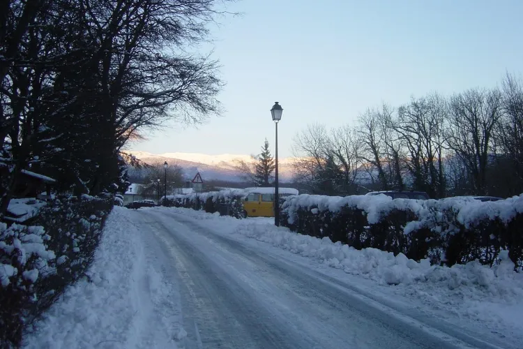 Patru romani au murit din cauza gerului