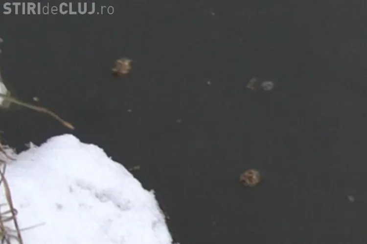 Locuitorii din Floresti traiesc cu rahatul in fata blocului! Autoritatile le-au spus "sa faca poze!"- VIDEO