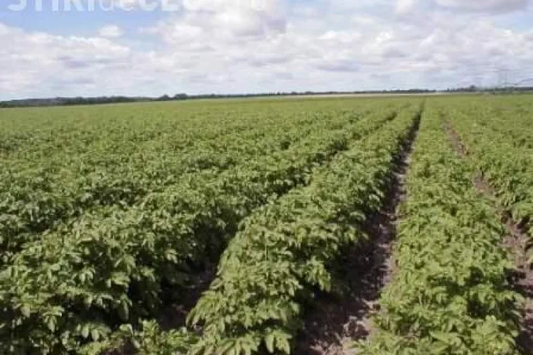 Romania, singura tara din lume care a permis testarea unei substante controversate