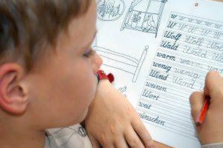 Sase scoli din Cluj care au copii putini ar putea fi salvate de la inchidere de Consiliul Judetean