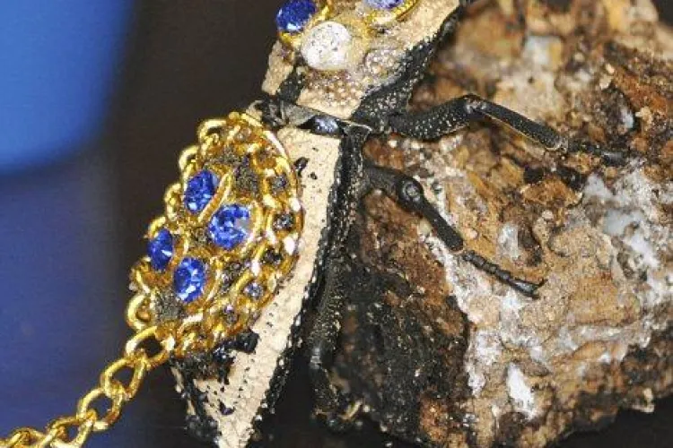 Socant! Vamesii au oprit o femeie care purta, sub forma de brosa, un gandac viu incrustat cu pietre pretioase