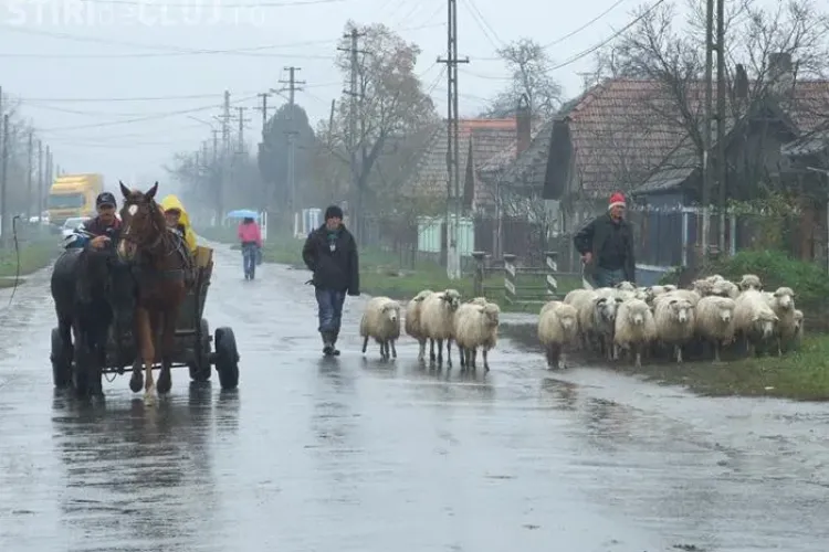 PNL si PDL, in finala pentru scaunul de "stapan" in primaria din Bontida