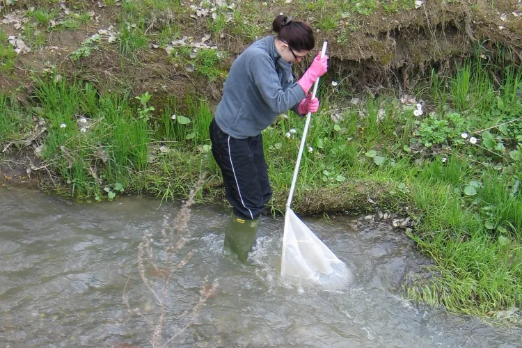 Cota de atentie depasita pe paraul Borsa in judetul Cluj