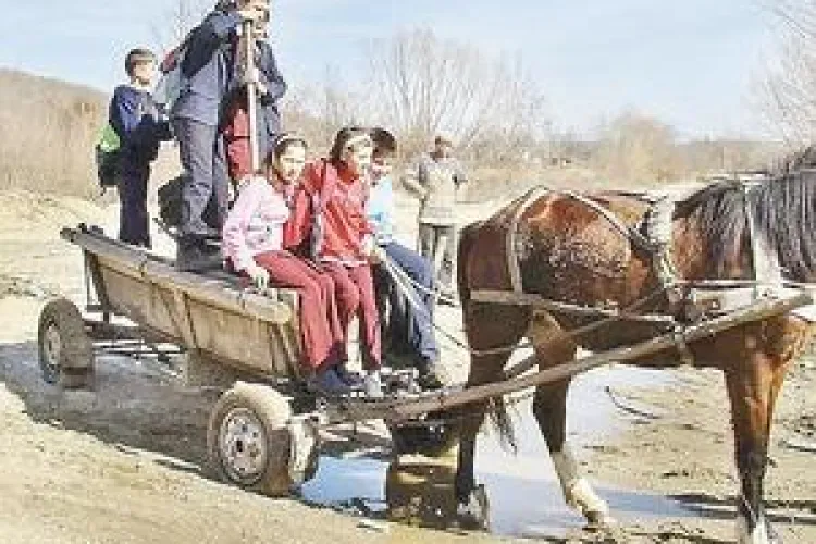 Scoala din Suceagu se inchide. Elevii vor fi adusi zilnic 20 de km la un liceu de fite din Cluj-Napoca