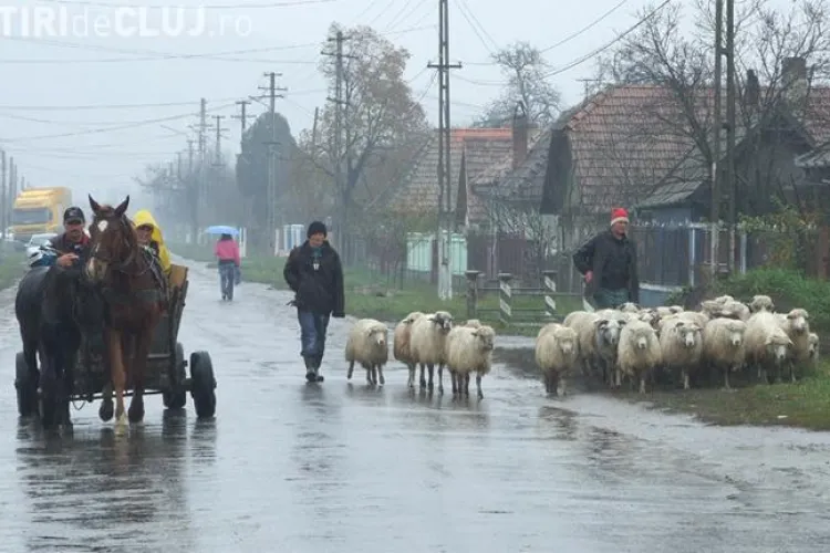Lupta pentru primaria comunei Bontida se ascute. PNL reclama PD-L ca fura startul in campania electorala 