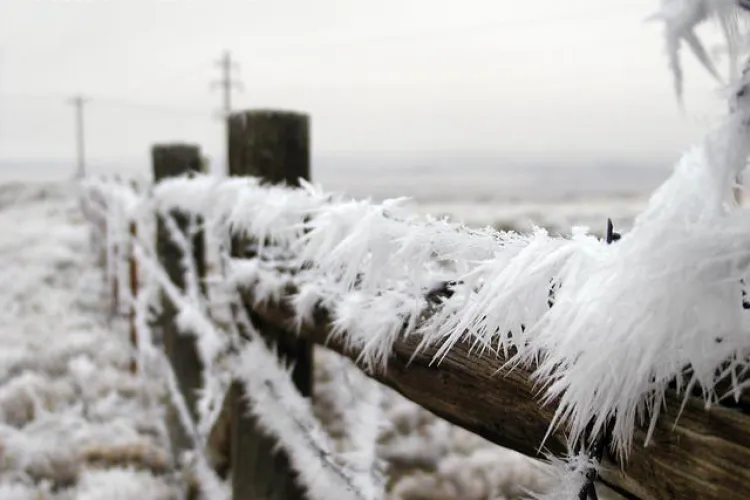 -21 grade Celsius in aceasta dimineata la Cluj