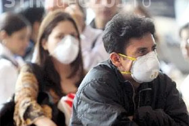 Gripa porcina nu ocoleste Clujul! Din 6 cazuri de AH1N1 confirmate la nivel national, unul este la Cluj